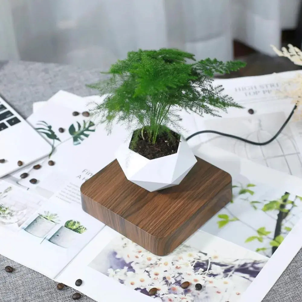 Levitating Air Bonsai Pot Rotation Flower Pot Planters Home Decor - Shopulia